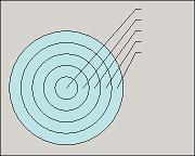 Default Bulls Eye style. Dart board shape with callouts pointing to each ring