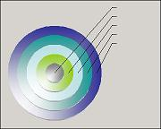 3 D color Bulls Eye style. 3 D Dart board shape with callouts pointing to each ring.