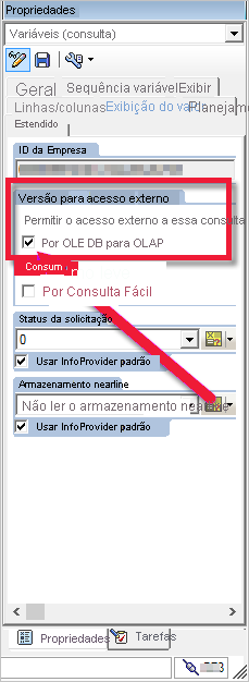 Captura de tela que mostra a habilitação da Versão para Acesso Externo.