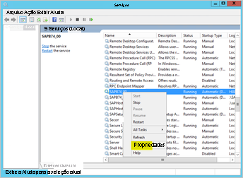 Captura de tela de Serviços, com as Propriedades realçadas
