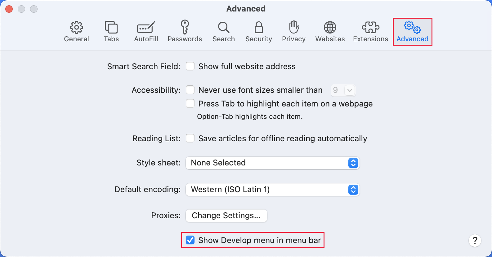 Captura de tela do menu avançado do Safari com o menu mostrar desenvolvimento na barra de menus selecionado.