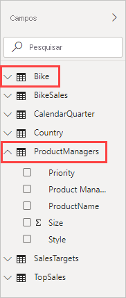Captura de tela do painel Campos com os campos Bike e ProductManagers selecionados.