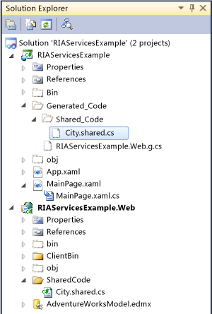 RIA_SharedCodeFile