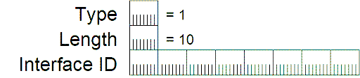 Figure 3: The Interface-Identifier option