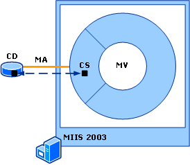 Export and Import Comparison