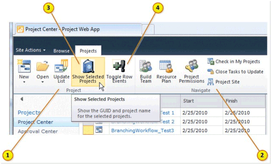 Ribbon groups and buttons on Project Center