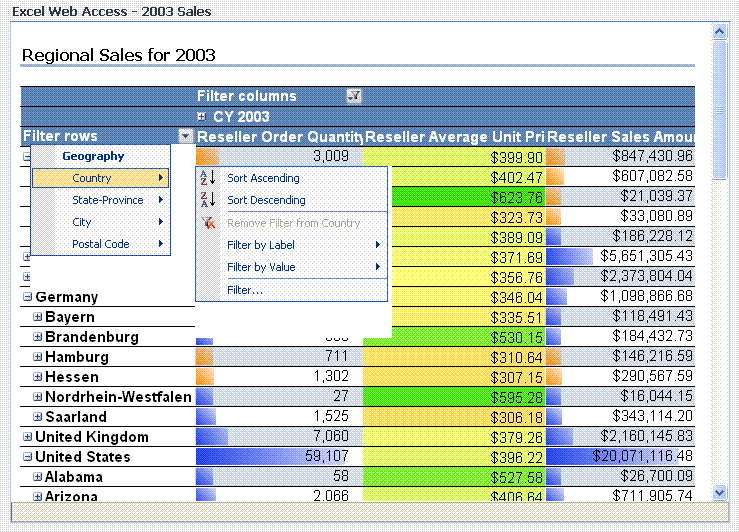 Analysing Data Using Excel Web Access