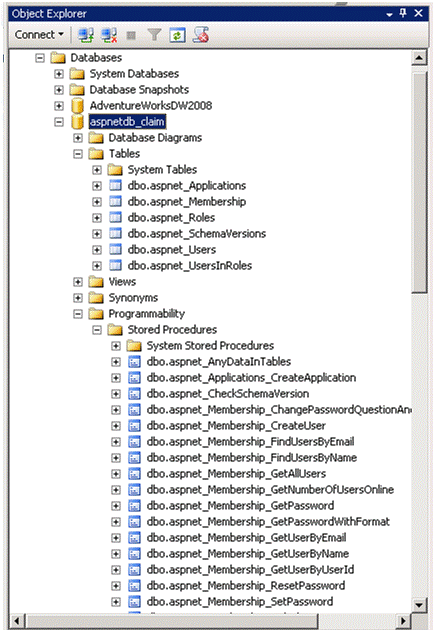 Expanded aspnetdb_claim node