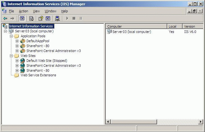 IIS Manager after installation of WSS on 1 server