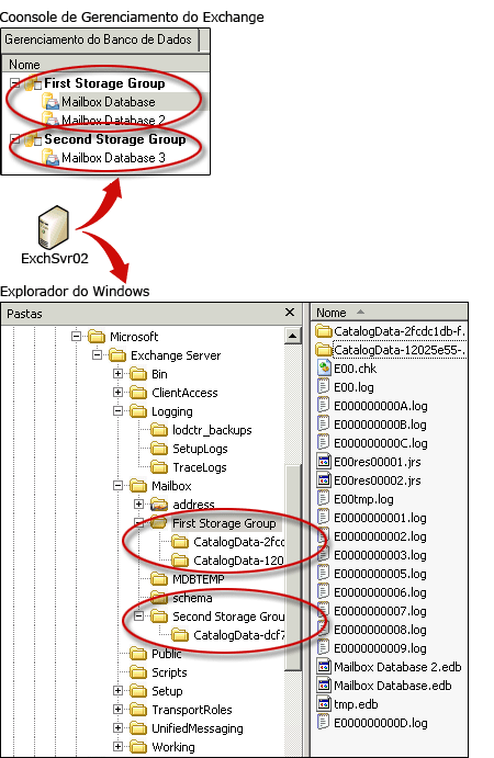 Arquivos e grupos de Armazenamento do Exchange 2007