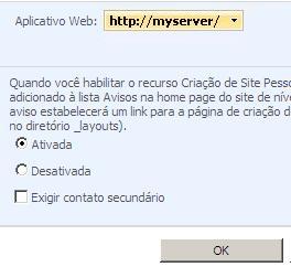 Botão de opção de aplicativo Web - Ativado