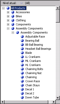 Nível Nome do Produto mostrando componentes de assembly