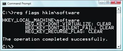 Figure 5 Reg utility shows virtualization flags