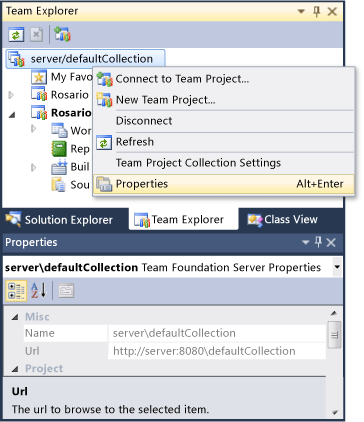 Team Foundation Server Properties: URL