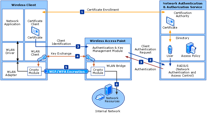 Wireless Network Overview