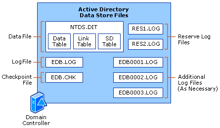 Data Store Physical Structure