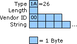 Vendor-Specific Attribute Structure