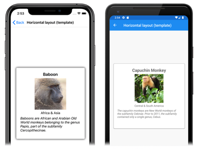 Captura de tela do CarouselView onde cada item é modelado, no iOS e Android