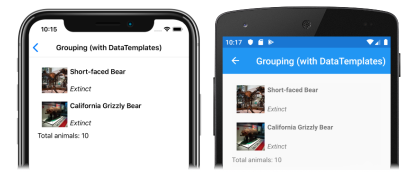 Captura de tela de um rodapé de grupo personalizado em um CollectionView, no iOS e no Android