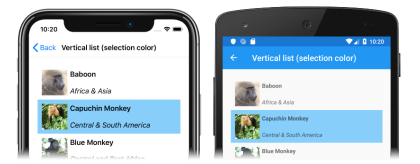 Captura de tela de uma lista vertical CollectionView com uma única cor de seleção personalizada, no iOS e no Android