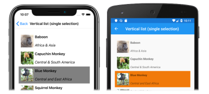 Captura de tela de uma lista vertical CollectionView com seleção única, no iOS e no Android