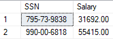 Captura de tela de resultados de texto não criptografado de colunas criptografadas.