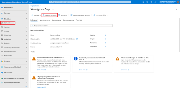 Captura de tela da página de Visão geral da Identidade. O botão da barra de ferramentas intitulado Gerenciar locatários está realçado.