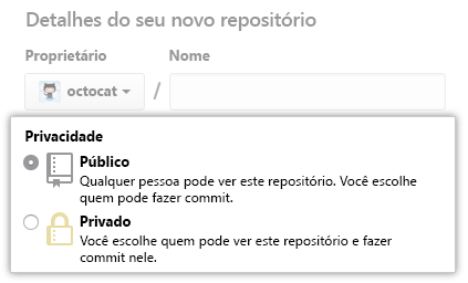 Captura de tela das opções público ou privado do novo repositório.