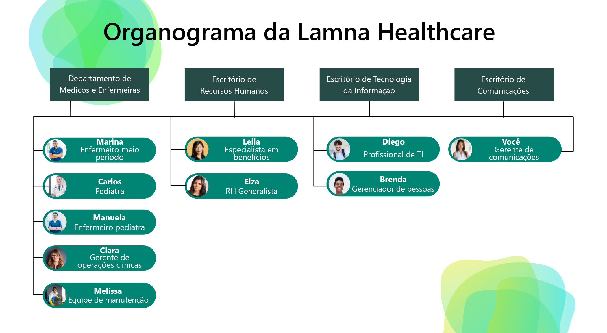 Diagrama mostrando uma estrutura organizacional simplificada da Lamna Healthcare.