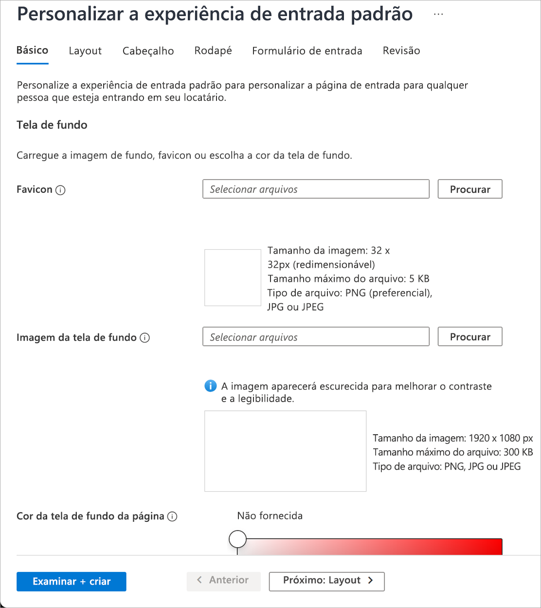 Captura de tela mostrando o formulário de configuração da identidade visual da empresa.