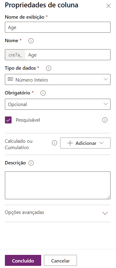 Captura de tela da janela Propriedades do Campo com os valores inseridos.