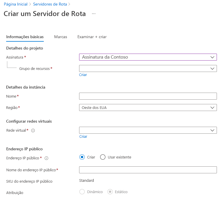 Captura de tela da página Criar um servidor de rota com a guia Informações básicas selecionada.