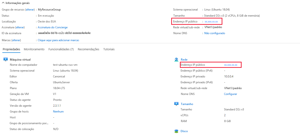 Captura de tela mostrando as propriedades e conceitos básicos da VM com o endereço IP público realçado.
