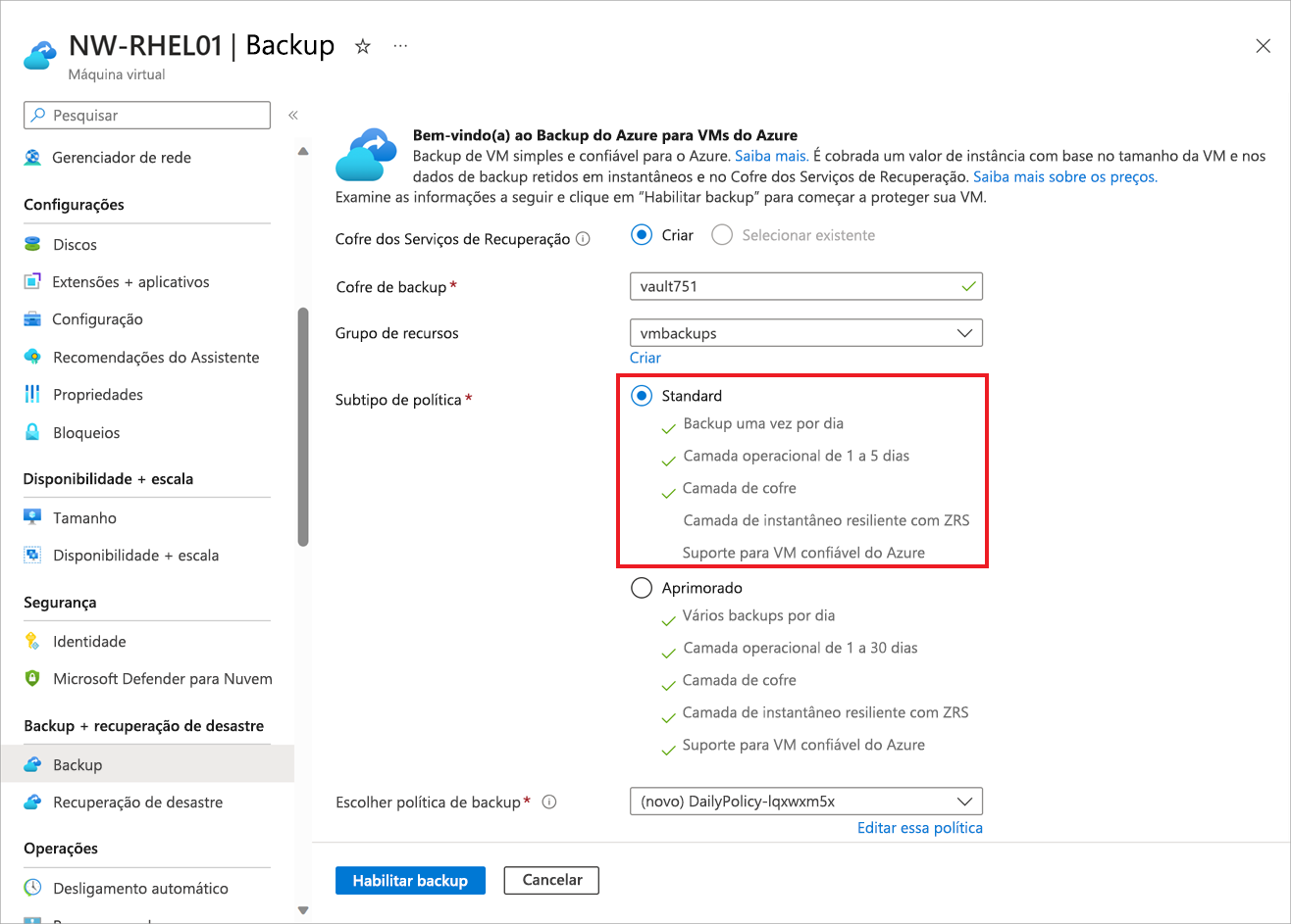 Captura de tela que mostra as opções de backup.