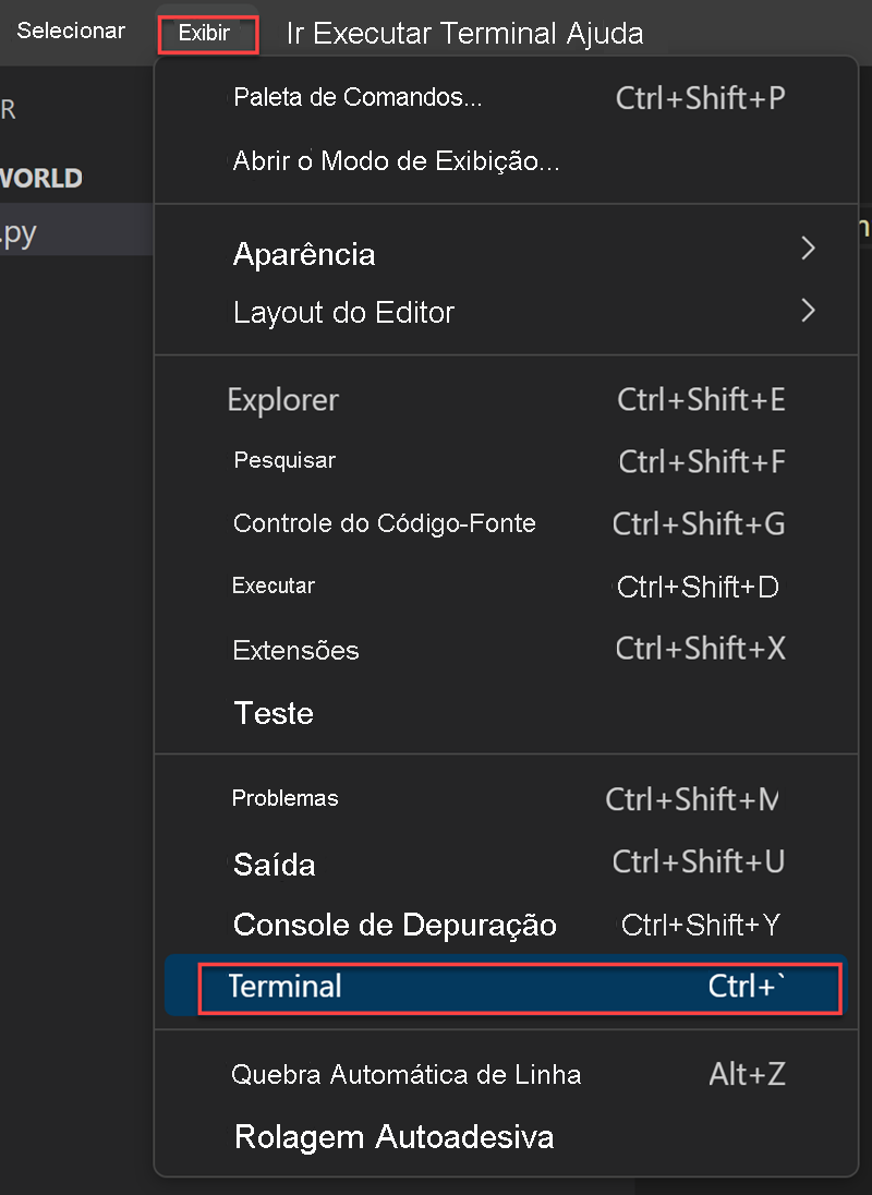 Captura de tela do menu de exibição com Terminal realçado.