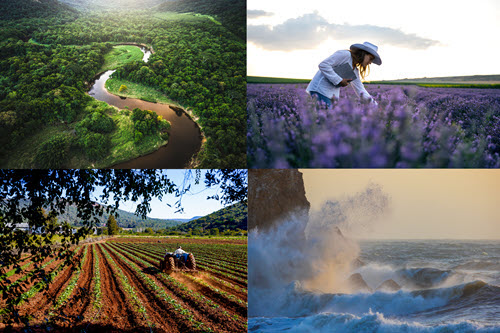 Fotografia mostrando uma floresta tropical, um campo de lavanda, uma fazenda e um oceano.