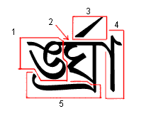 Illustration that identifies the components of a syllable cluster.