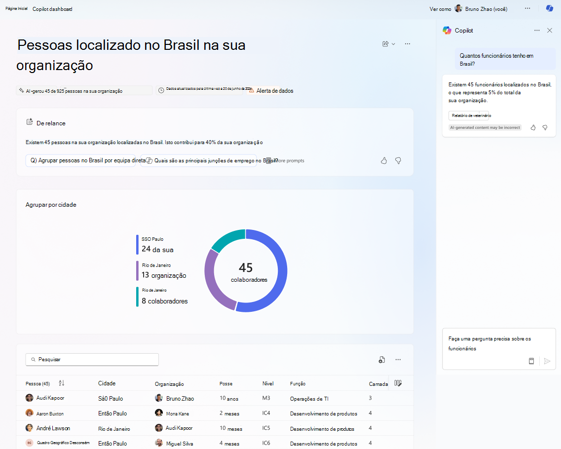 Captura de ecrã a mostrar a Home page das informações da organização com o Copilot.