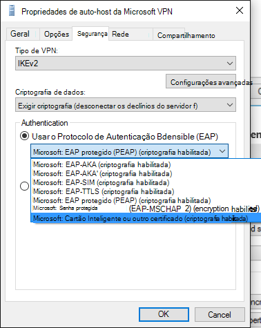 janela de propriedades de auto-host vpn.