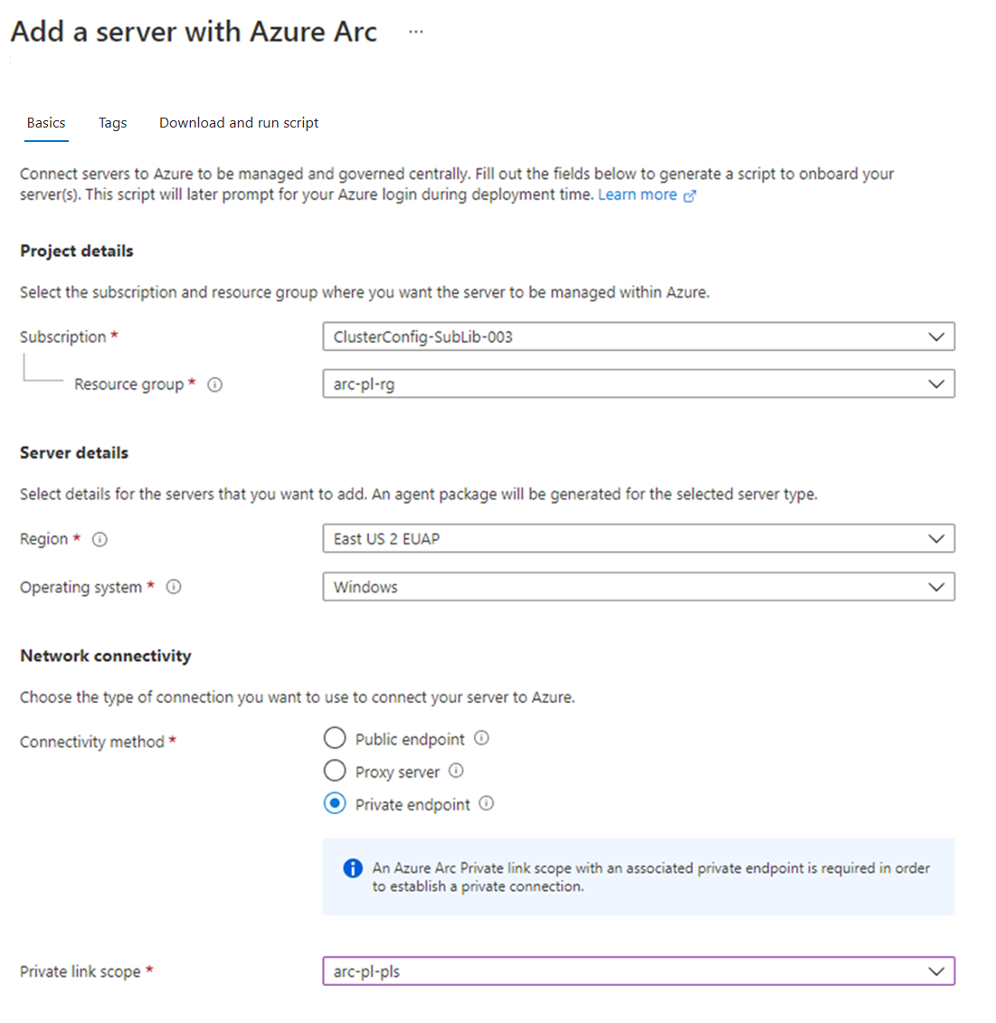 Captura de tela que mostra a opção de conectividade Private Endpoint selecionada.