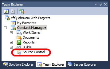 No Visual Studio 2010, na janela Team Explorer, expanda seu projeto de equipe e clique duas vezes em Controle do Código-Fonte.