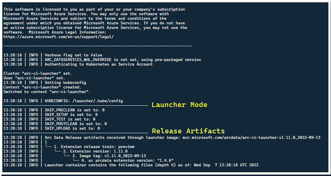 Uma captura de tela do terminal do console após o início do iniciador.