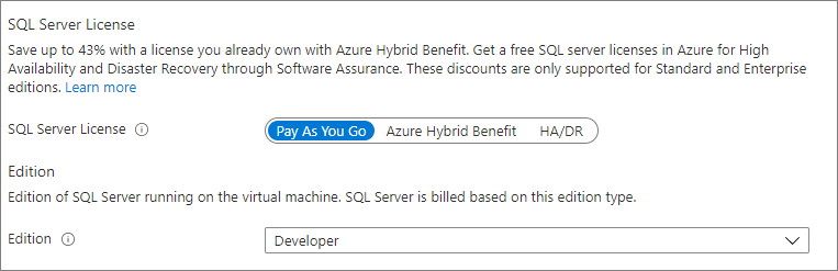 Captura de tela do portal do Azure, recurso de máquinas virtuais SQL, mostrando onde alterar a versão e a edição dos metadados da VM do SQL Server.