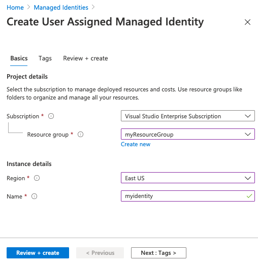 Captura de ecrã das opções para criar uma identidade atribuída pelo utilizador no portal do Azure.