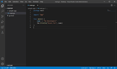Uma captura de tela exibindo um exemplo de programa Go.