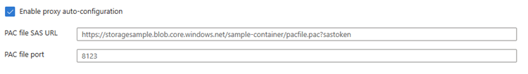 Captura de tela mostrando a configuração do arquivo de configuração automática do proxy.