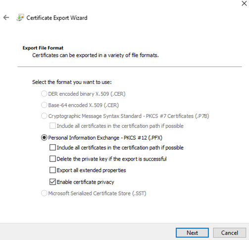 Captura de ecrã a mostrar o formato de ficheiro de exportação