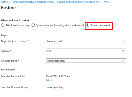 A captura de tela mostra como começar a restaurar o banco de dados do locatário para a VM de destino.