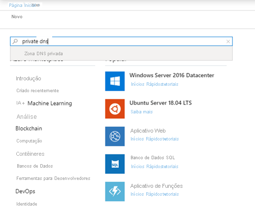 Mostra a pesquisa de 'zona dns privada' na página de novos recursos no portal do Azure.