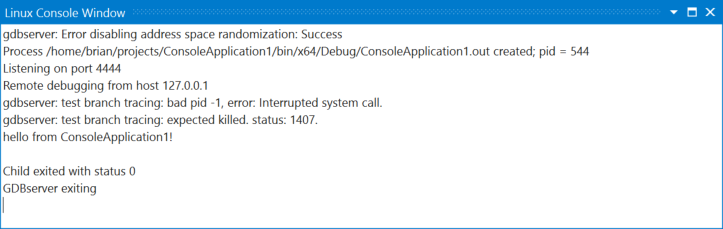 Captura de tela mostrando a janela do console Linux.